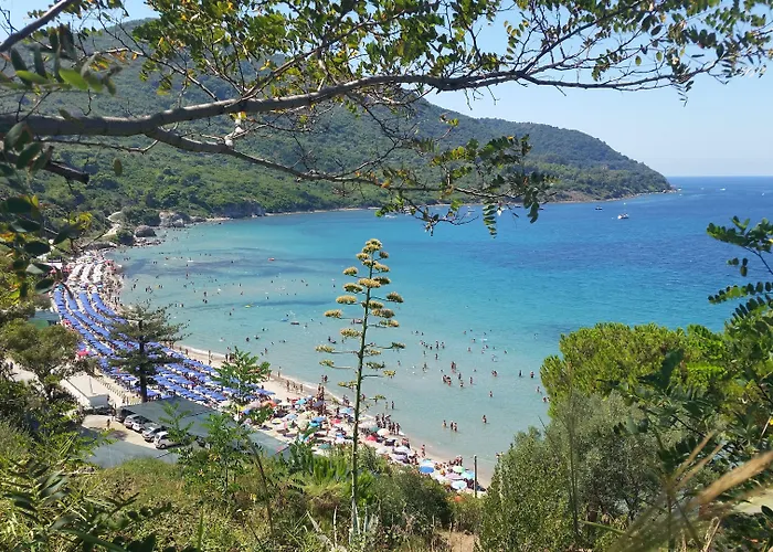 I Delfini Nocleg ze śniadaniem 4*